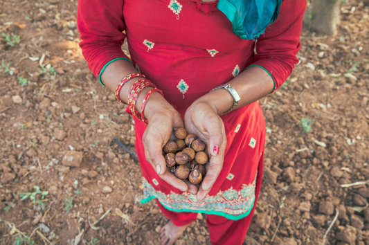 Our own soap nut forest in Nepal