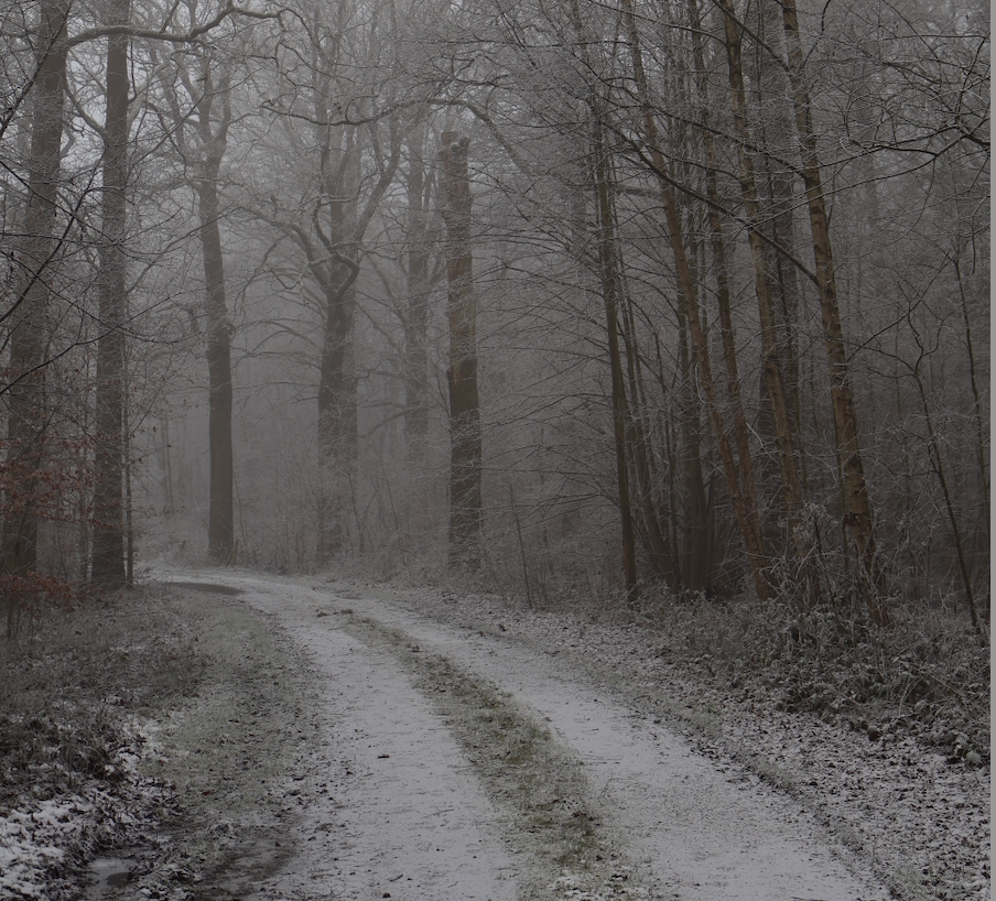 Start of winter: conquer the icy months with CÎME