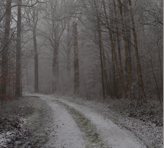 Start of winter: conquer the icy months with CÎME