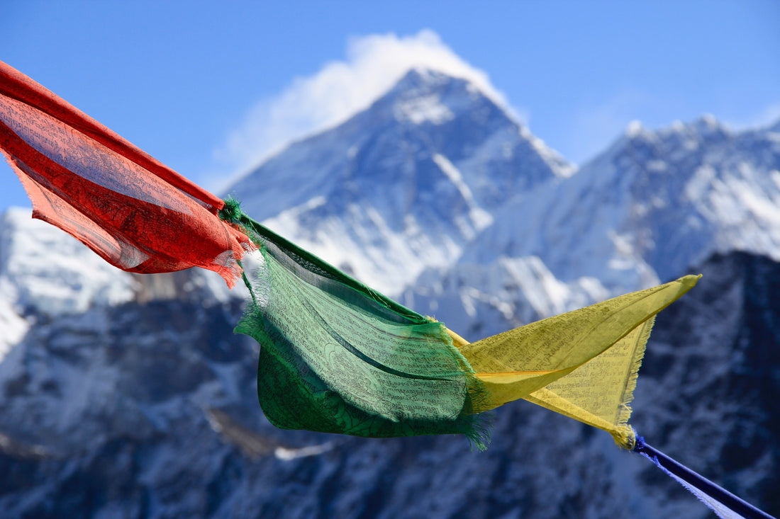 CÎME skincare – from fairtrade farmers to little doctors in Nepal