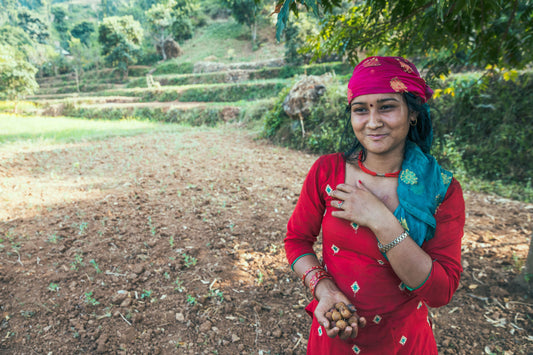 The CÎME team in Nepal: Part 2
