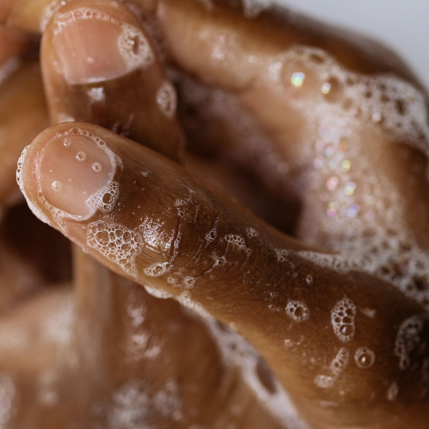 PRÉCOMMANDEZ | Savon mains & corps